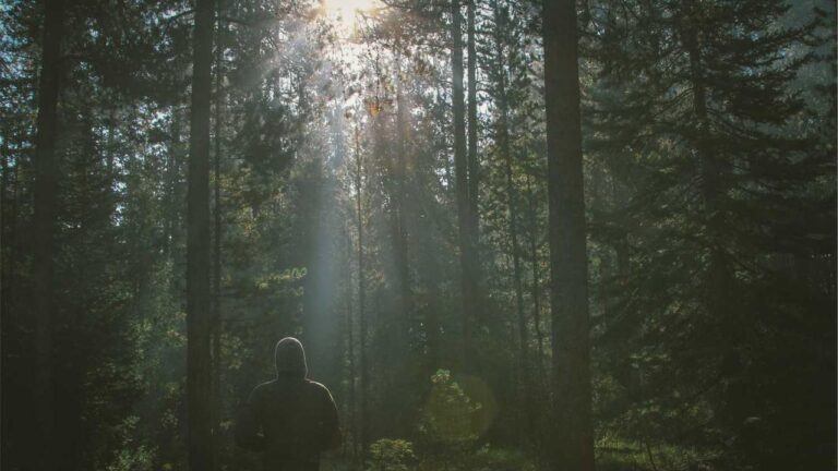 How To Access My 11Xplay Login Id And Password India On Desktop?